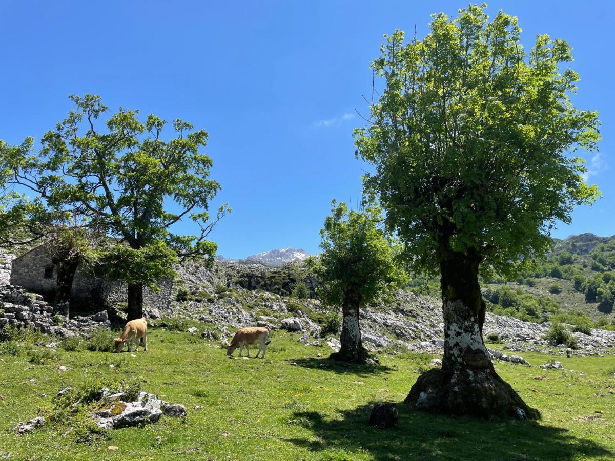 Piloña Mar Y Montanaヴィラ エクステリア 写真